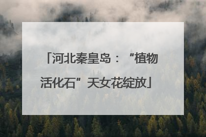 河北秦皇岛：“植物活化石”天女花绽放