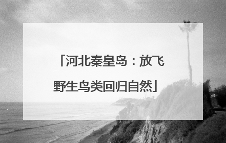 河北秦皇岛：放飞野生鸟类回归自然