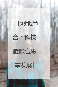 河北芦台：科技赋能高质量发展