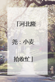 河北隆尧：小麦抢收忙