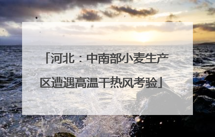 河北：中南部小麦生产区遭遇高温干热风考验