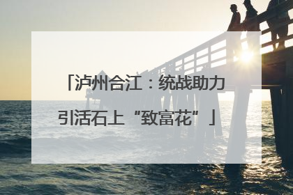 泸州合江：统战助力引活石上“致富花”