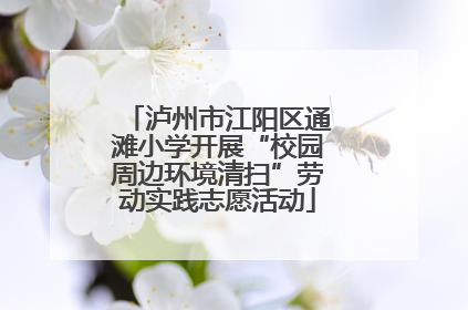 泸州市江阳区通滩小学开展“校园周边环境清扫”劳动实践志愿活动