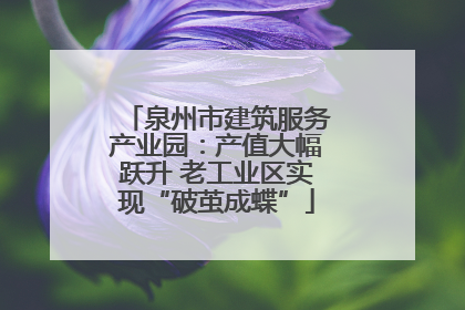 泉州市建筑服务产业园：产值大幅跃升 老工业区实现“破茧成蝶”