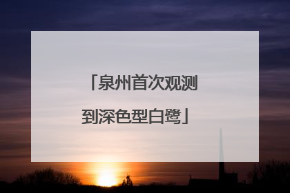 泉州首次观测到深色型白鹭