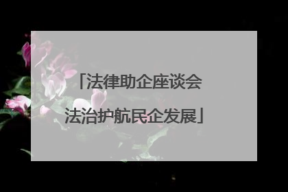法律助企座谈会 法治护航民企发展