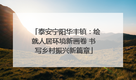 泰安宁阳华丰镇：绘就人居环境新画卷 书写乡村振兴新篇章