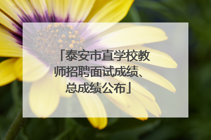 泰安市直学校教师招聘面试成绩、总成绩公布