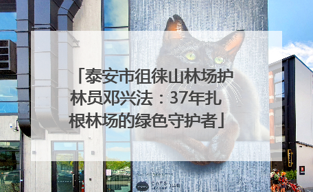 泰安市徂徕山林场护林员邓兴法：37年扎根林场的绿色守护者