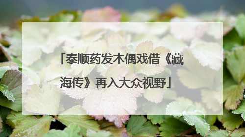 泰顺药发木偶戏借《藏海传》再入大众视野