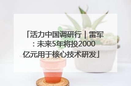 活力中国调研行｜雷军：未来5年将投2000亿元用于核心技术研发