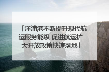 洋浦港不断提升现代航运服务能级 促进航运扩大开放政策快速落地