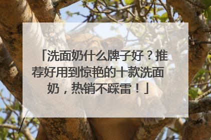 洗面奶什么牌子好？推荐好用到惊艳的十款洗面奶，热销不踩雷！