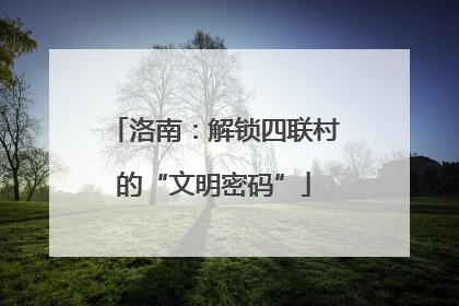洛南：解锁四联村的“文明密码”