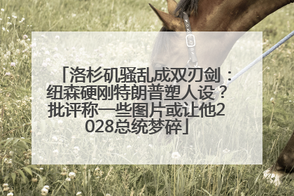洛杉矶骚乱成双刃剑：纽森硬刚特朗普塑人设？批评称一些图片或让他2028总统梦碎