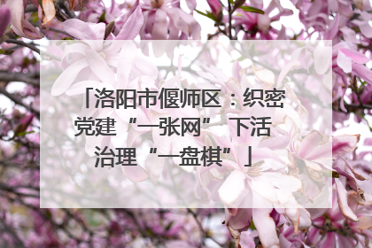 洛阳市偃师区：织密党建“一张网” 下活治理“一盘棋”