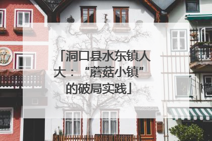 洞口县水东镇人大：“蘑菇小镇”的破局实践