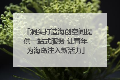 洞头打造海创空间提供一站式服务 让青年为海岛注入新活力
