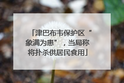 津巴布韦保护区“象满为患”，当局称将扑杀供居民食用