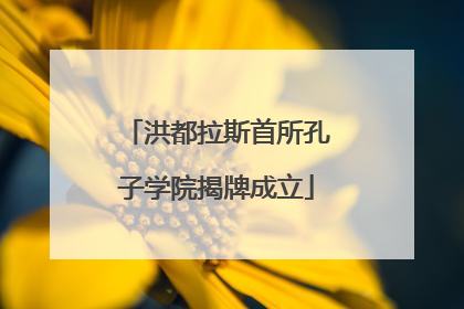 洪都拉斯首所孔子学院揭牌成立