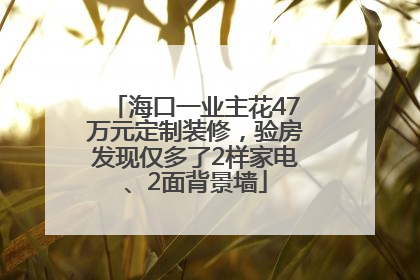 海口一业主花47万元定制装修，验房发现仅多了2样家电、2面背景墙
