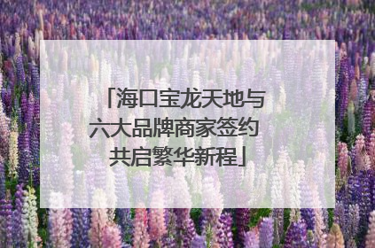海口宝龙天地与六大品牌商家签约 共启繁华新程