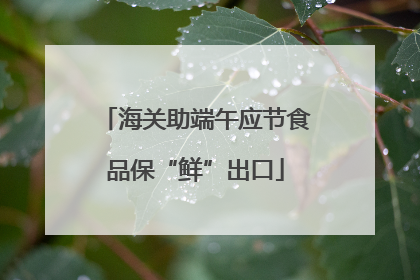 海关助端午应节食品保“鲜”出口