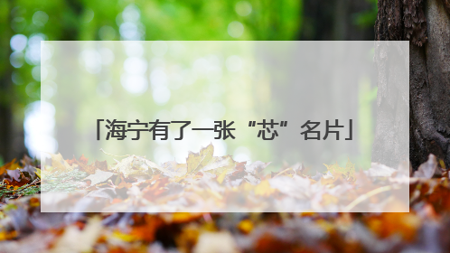 海宁有了一张“芯”名片