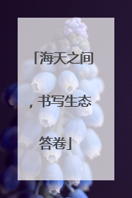海天之间，书写生态答卷