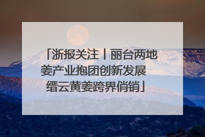 浙报关注丨丽台两地姜产业抱团创新发展 缙云黄姜跨界俏销