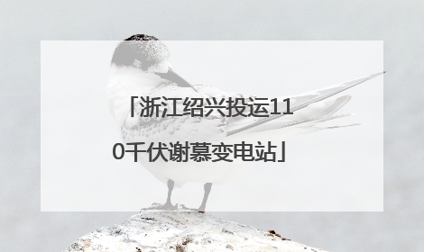 浙江绍兴投运110千伏谢慕变电站