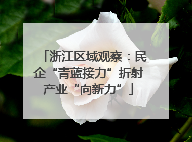 浙江区域观察：民企“青蓝接力”折射产业“向新力”