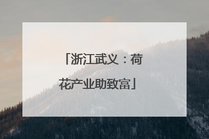 浙江武义：荷花产业助致富