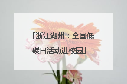 浙江湖州：全国低碳日活动进校园