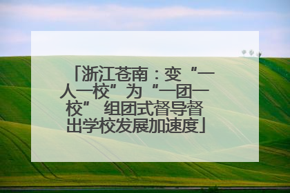 浙江苍南：变“一人一校”为“一团一校” 组团式督导督出学校发展加速度