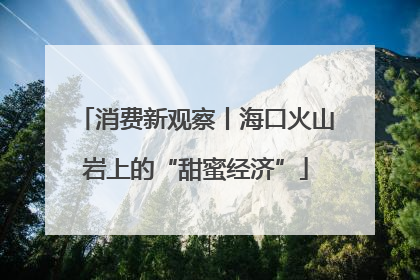 消费新观察丨海口火山岩上的“甜蜜经济”