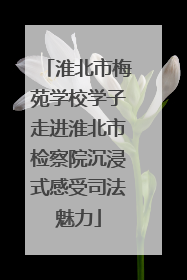 淮北市梅苑学校学子走进淮北市检察院沉浸式感受司法魅力