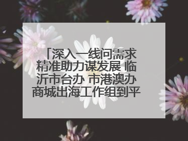 深入一线问需求 精准助力谋发展 临沂市台办 市港澳办商城出海工作组到平邑县走访调研