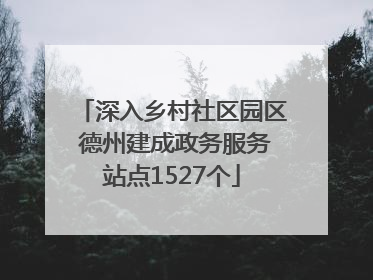 深入乡村社区园区 德州建成政务服务站点1527个