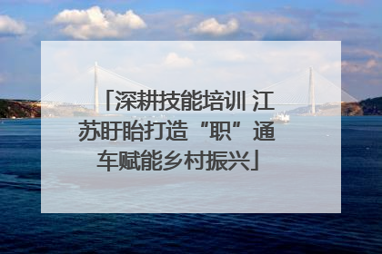 深耕技能培训 江苏盱眙打造“职”通车赋能乡村振兴