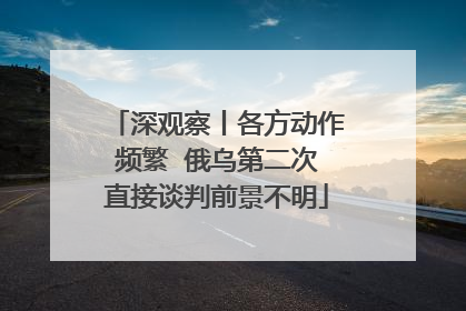 深观察丨各方动作频繁  俄乌第二次直接谈判前景不明