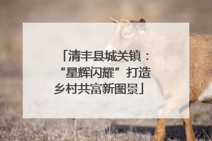 清丰县城关镇：“星辉闪耀”打造乡村共富新图景