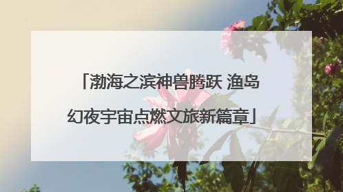 渤海之滨神兽腾跃 渔岛幻夜宇宙点燃文旅新篇章