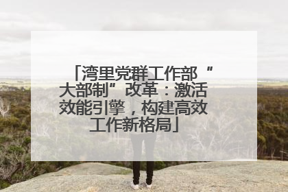 湾里党群工作部“大部制”改革：激活效能引擎，构建高效工作新格局