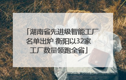 湖南省先进级智能工厂名单出炉 衡阳以32家工厂数量领跑全省