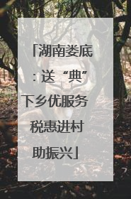 湖南娄底：送“典”下乡优服务 税惠进村助振兴