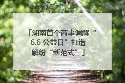湖南首个商事调解“6.6 公益日”打造解纷“新范式”