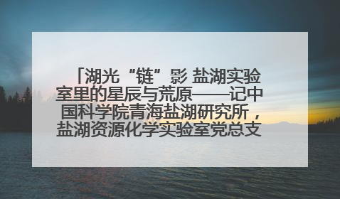 湖光“链”影 盐湖实验室里的星辰与荒原——记中国科学院青海盐湖研究所，盐湖资源化学实验室党总支书记、副主任刘忠