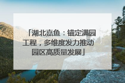 湖北嘉鱼：锚定满园工程，多维度发力推动园区高质量发展