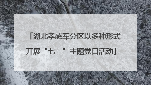 湖北孝感军分区以多种形式开展“七一”主题党日活动